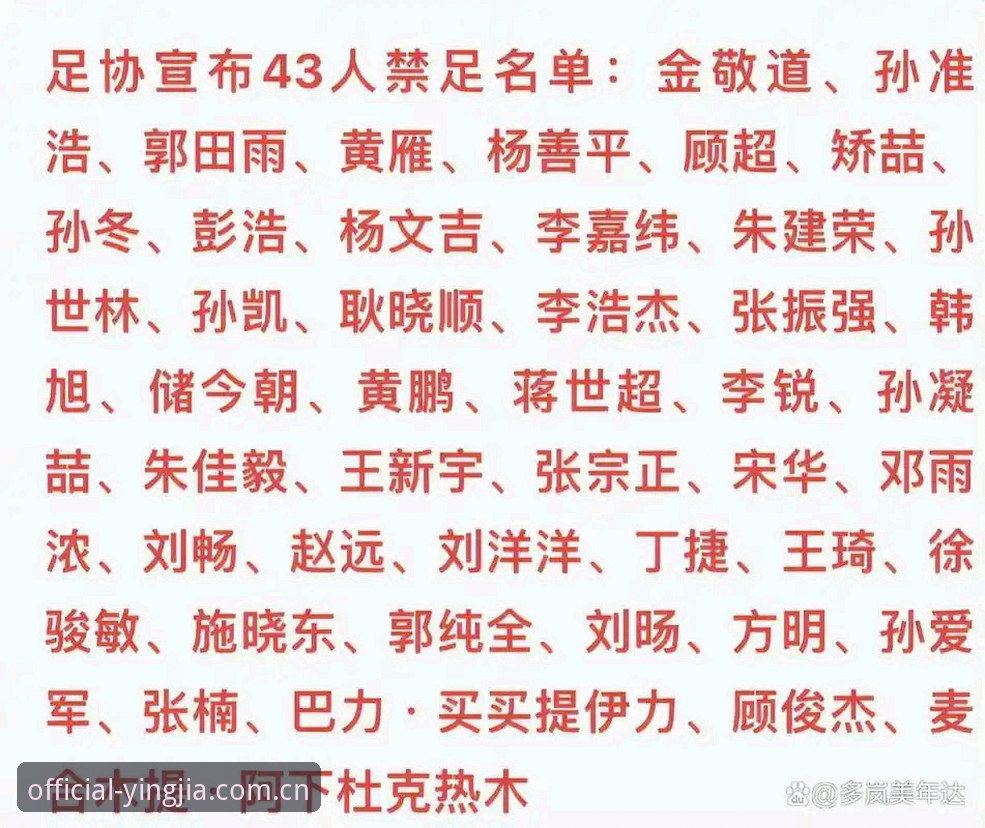 盈嘉体育使用教程 资深足球从业者深度解析:足协第三批禁足名单背后的行业警示录